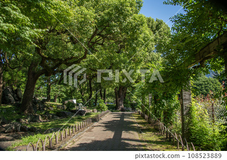 東京千代田區日比谷公園 108523889
