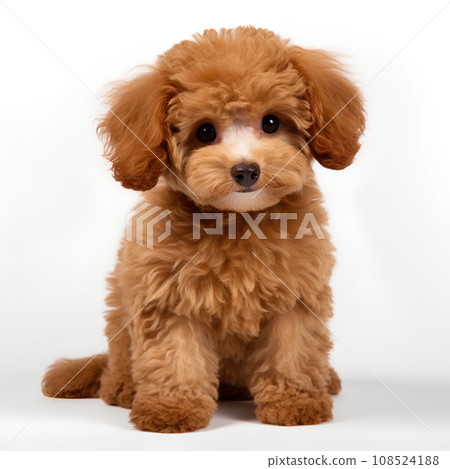 white background toy white background 108524188