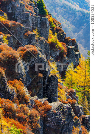 Ueda City, Nagano Prefecture, Autumn scenery of Utsukushigahara Plateau, Ougatou Ougahana Ueda City, Nagano Prefecture, Autumn scenery of Utsukushigahara Plateau, Ougatou Ougahana 108524522