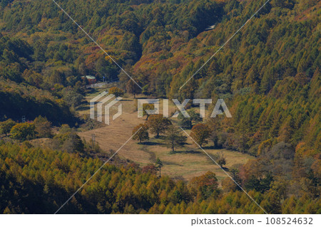 Ueda City, Nagano Prefecture, Autumn scenery of Utsukushigahara Plateau, Ougatou Ougahana Ueda City, Nagano Prefecture, Autumn scenery of Utsukushigahara Plateau, Ougatou Ougahana 108524632