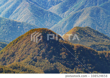 Ueda City, Nagano Prefecture, Autumn scenery of Utsukushigahara Plateau, Ougatou Ougahana Ueda City, Nagano Prefecture, Autumn scenery of Utsukushigahara Plateau, Ougatou Ougahana 108524658
