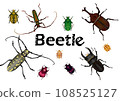 Various Japanese beetles 2 108525127