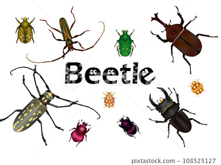 Various Japanese beetles 2 108525127