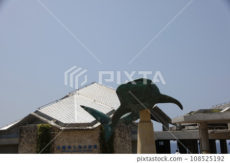 Whale shark scenery at Okinawa Churaumi Aquarium Whale shark scenery at Okinawa Churaumi Aquarium 108525192