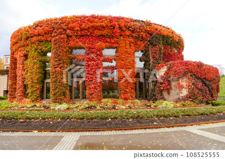 Agricultural Experiment Park/Autumn Twin Cap 108525555