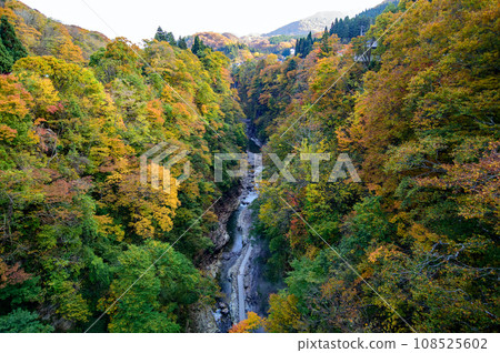 Koankyo of autumn leaves Akita 108525602