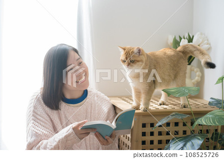 cat care concept with asian woman read book and play with gold british cat at home cat care concept with asian woman read book and play with gold british cat at home 108525726