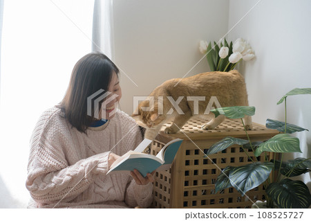 cat care concept with asian woman read book and play with gold british cat at home cat care concept with asian woman read book and play with gold british cat at home 108525727