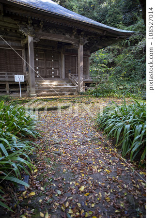 鎌倉 11 月 妙法寺 13 108527014