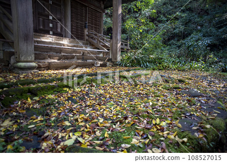 鎌倉 11 月 妙法寺 14 108527015