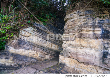 直通觀音崎燈塔（神奈川縣橫須賀市） 108527846