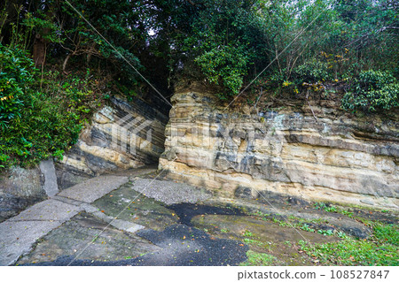 直通觀音崎燈塔（神奈川縣橫須賀市） 108527847