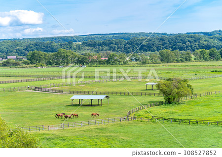 純種銀座停車場 俯瞰純種銀座 108527852