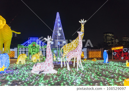 Osaka Castle Illuminage 2022 Beautiful and spectacular illumination Osaka Castle Illuminage 2022 Beautiful and spectacular illumination 108529097