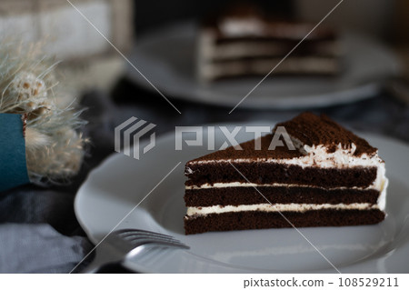 盤子裡的巧克力蛋糕 盤子裡的巧克力蛋糕 108529211