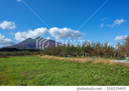 [青森縣弘前市蘋果] Iwakiyama會津津輕秋天，蘋果花園正在收穫 108529485