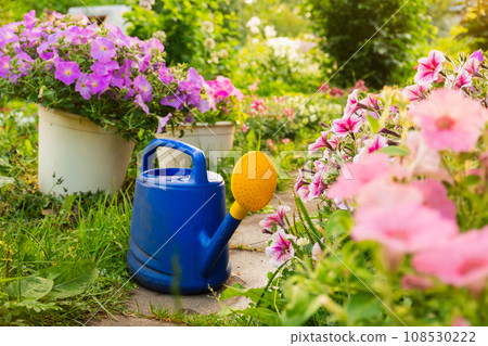 Farm worker gardening tools. Blue plastic watering can for irrigation plants placed in garden with flowers on flowerbed and flowerpot on sunny summer day. Gardening hobby agriculture concept Farm worker gardening tools. Blue plastic watering can for irrigation plants placed in garden with flowers on flowerbed and flowerpot on sunny summer day. Gardening hobby agriculture concept 108530222
