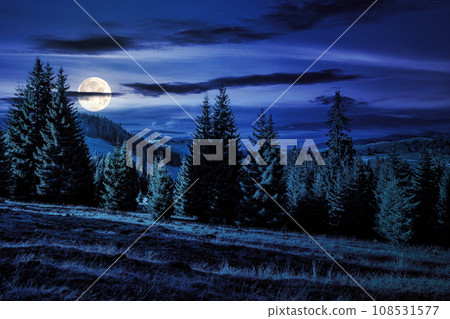mountain landscape at night. meadow on hill side with coniferous forest. wonderful nature scenery in full moon light 108531577