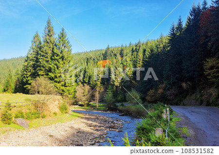 narrow mountain river in autumn. unexpected drought and dry fall season. stones on the shore and shallow water stream. environmental disaster in ukrainian carpathians 108531582