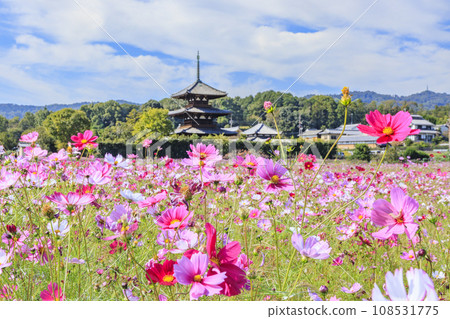 世界遺產寶積寺盛開在宇宙中 世界遺產寶積寺盛開在宇宙中 108531775