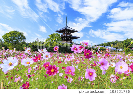 世界遺產寶積寺盛開在宇宙中 108531786