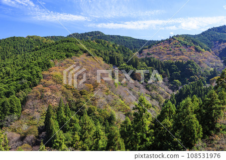 紅葉盛開的世界遺產吉野山 108531976