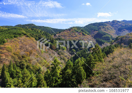 紅葉盛開的世界遺產吉野山 紅葉盛開的世界遺產吉野山 108531977