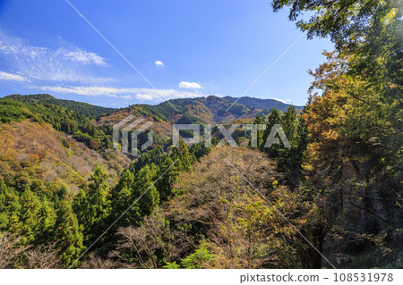 Mt. Yoshino, a world heritage site with autumn foliage in full bloom 108531978