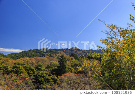 紅葉盛開的世界遺產吉野山 108531986