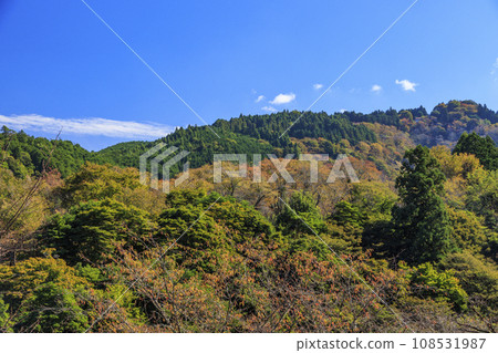 紅葉盛開的世界遺產吉野山 108531987
