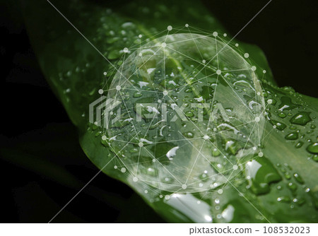 Ecosystem and preserve nature and sustainable Ecosystem and preserve nature and sustainable 108532023