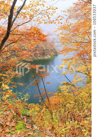 奧只見湖 紅葉最佳時期 奧只見湖 紅葉最佳時期 108533037