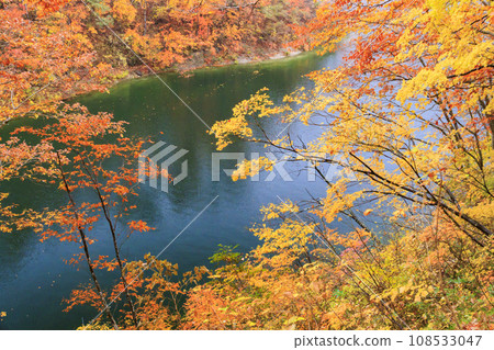 Lake Okutadami Best time to see autumn leaves Lake Okutadami Best time to see autumn leaves 108533047
