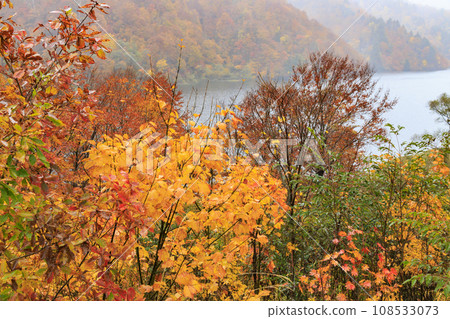 Lake Okutadami Best time to see autumn leaves 108533073