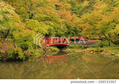 Autumn leaves of Yahiko Park Autumn leaves of Yahiko Park 108533367
