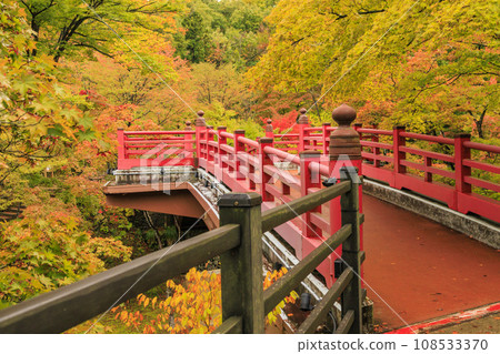 Autumn leaves of Yahiko Park Autumn leaves of Yahiko Park 108533370