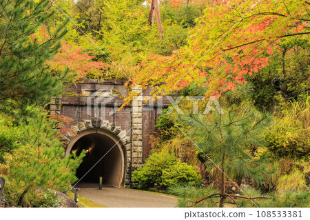 Autumn leaves of Yahiko Park Autumn leaves of Yahiko Park 108533381