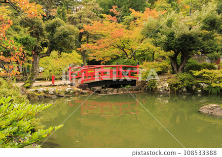 Yahiko公園秋葉 Yahiko公園秋葉 108533388