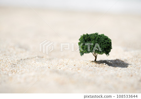 Small tree growing out of the sand in the desert 108533644