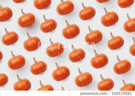 Orange pumpkin pattern on pastel color background 108533891