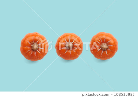 Three orange pumpkins on pastel color background 108533985