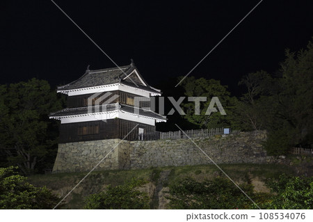 新綠上田城跡公園亮燈(長野縣上田市) 新綠上田城跡公園亮燈(長野縣上田市) 108534076