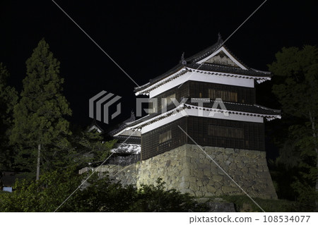 新綠上田城跡公園亮燈(長野縣上田市) 新綠上田城跡公園亮燈(長野縣上田市) 108534077