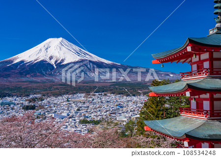 （山梨縣）新倉山淺間公園的日本美景、櫻花和雪景、忠靈塔和富士山 108534248