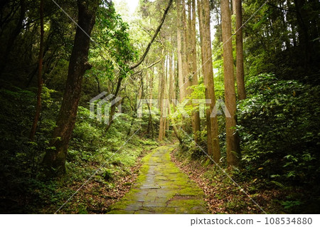 龍毛坂古道 龍毛坂古道 108534880