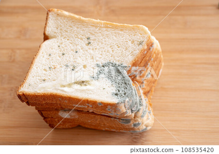 Green mold and white mold on bread Green mold and white mold on bread 108535420