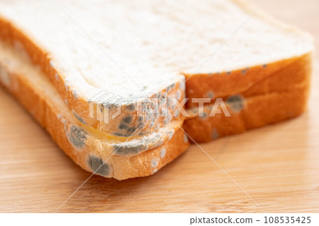 Green mold and white mold on bread Green mold and white mold on bread 108535425