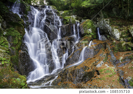 代表糸島的熱門旅遊勝地，秋天美麗的白絲瀑布（福岡縣糸島市） 108535710