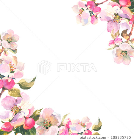 Watercolour illustration, delicate branch of an apple tree with flowers and leaves. Horisontal frame with Spring pink flowers, with empty plase for you text 108535750