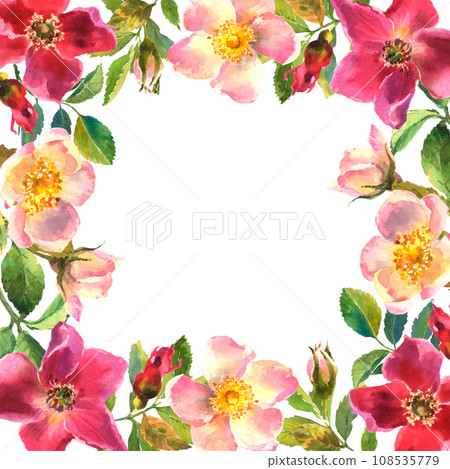 Rosehip Frame. Flowers, leaves and fruits of wild roses. Briar, watercolor painting for decoration. 108535779